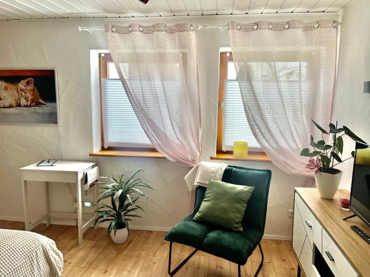 Apartment Balingen City Luaran gambar